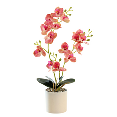 Orchid in Pot - White (44cm)