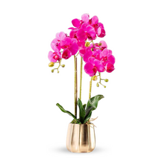 Orchid in Pot - Gold Taper (60cm)