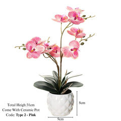 Orchid in Pot - Ceramic White Pot (31cm)