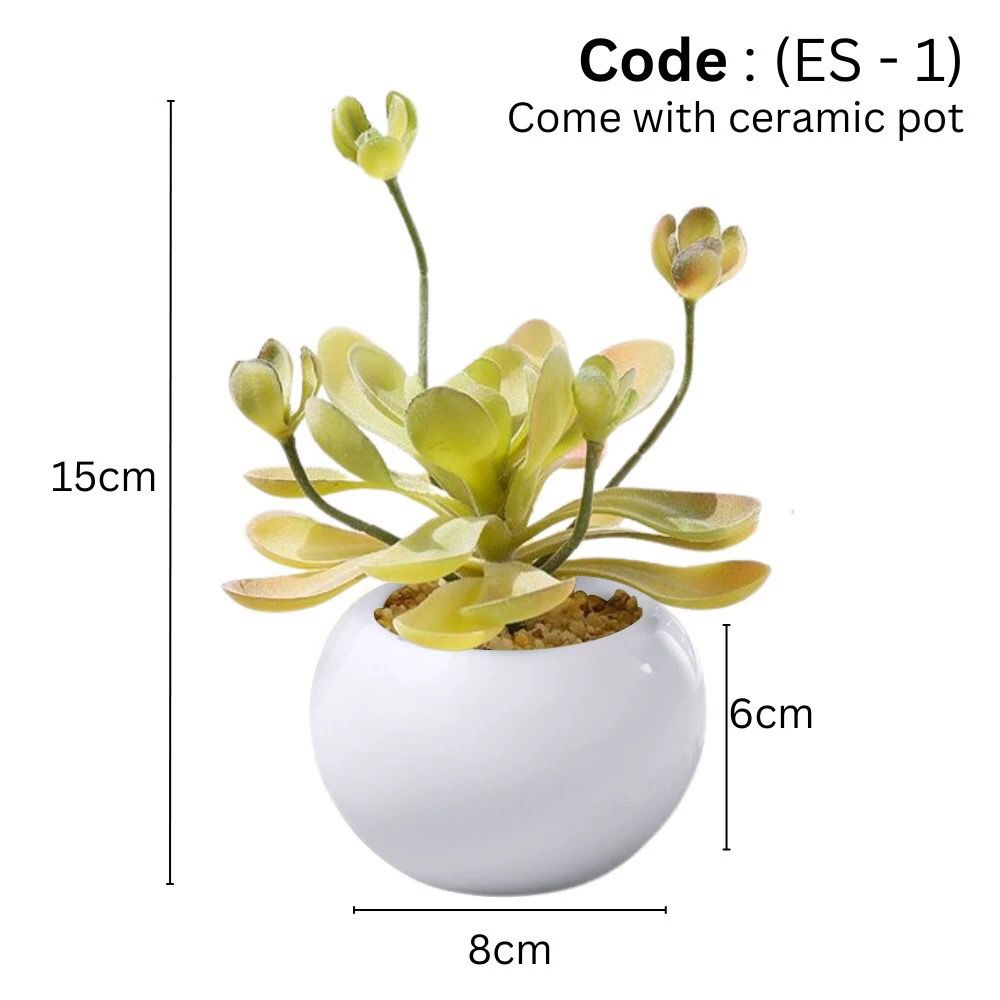 Artificial small succulent in Ceramic Pot