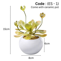 Artificial small succulent in Ceramic Pot