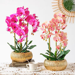 Orchid in Pot - Hammered Gold (60cm)