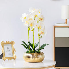 Orchid in Pot - Hammered Gold (60cm)