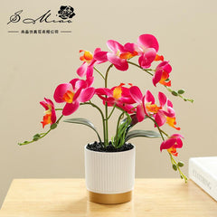 Orchid in Pot - Gold and White (33cm)