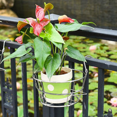 Round Stainless Steel Hanging Basket