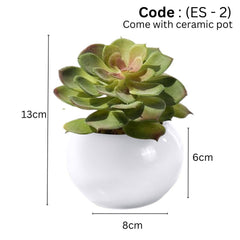 Artificial small succulent in Ceramic Pot