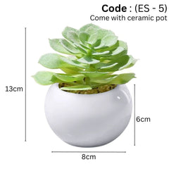 Artificial small succulent in Ceramic Pot