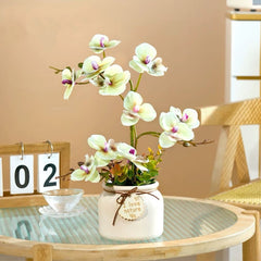 Artificial Orchid In Gentle Cream Yellow Ceramic Pot (35cm)