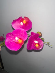 Artificial Orchid in White Plastic Pot - Pink/White/Purple (40cm)