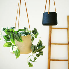 Hanging Cement Pot With Hemp Rope- Black (60cm)