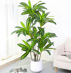 Artificial Dracaena Fragrans 170cm