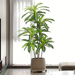 Artificial Dracaena Fragrans 170cm