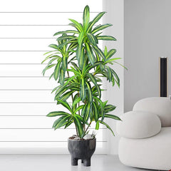 Artificial Dracaena Fragrans 170cm