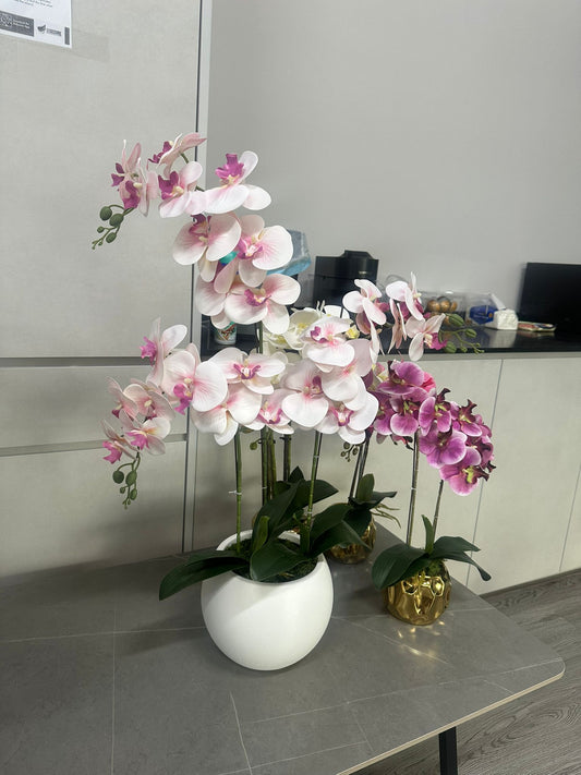 Artificial White Orchid in Elegant Resin Pot (80cm)