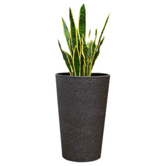 Ellipse Tall Imitation Cement Pot (Black)