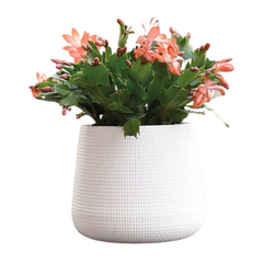 Resin Round Plant Pot (White)