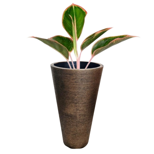 Resin Cone Plant Pot (Gold)