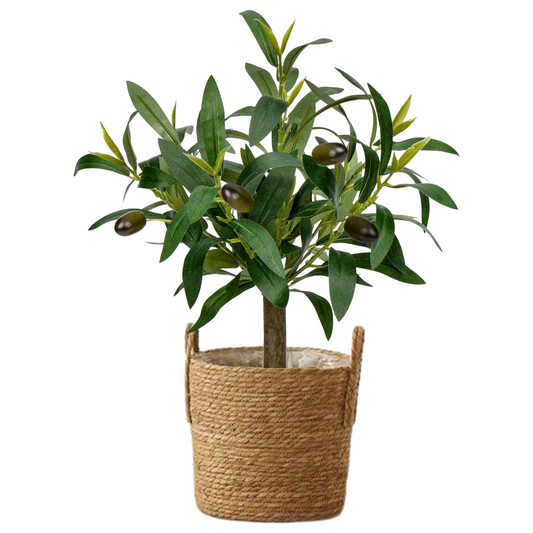 Seagrass Basket (Braid) Plant Basket