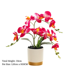 Orchid in Pot - Gold and White (33cm)