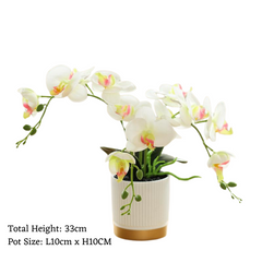 Orchid in Pot - Gold and White (33cm)