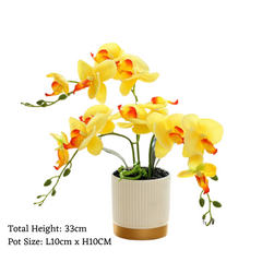 Orchid in Pot - Gold and White (33cm)