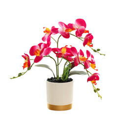 Orchid in Pot - Gold and White (33cm)