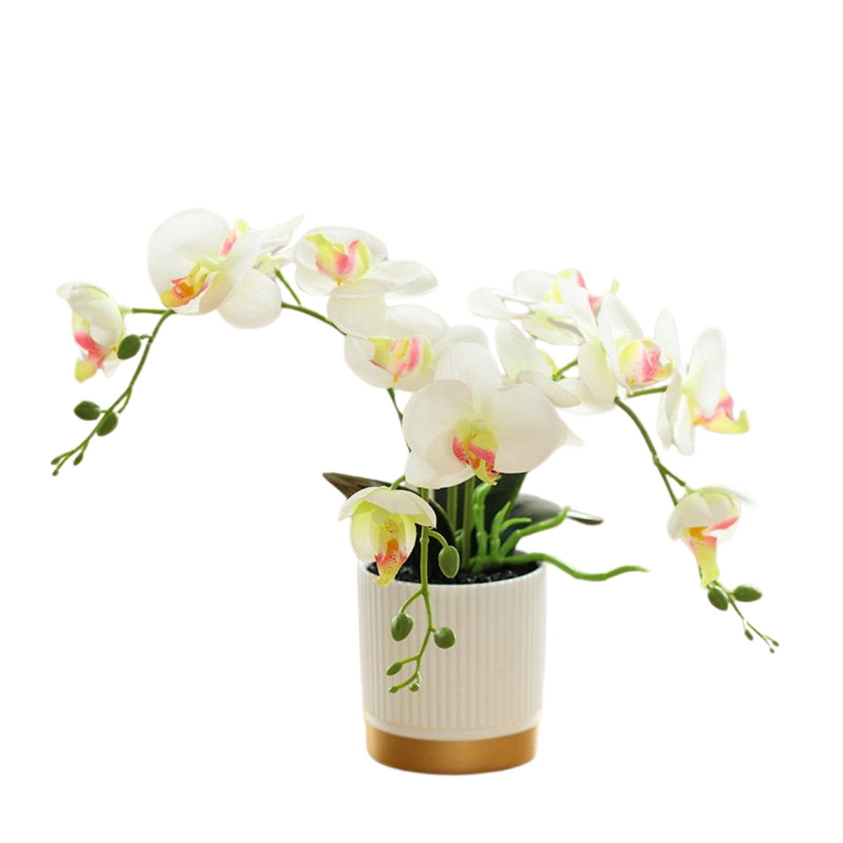 Orchid in Pot - Gold and White (33cm)