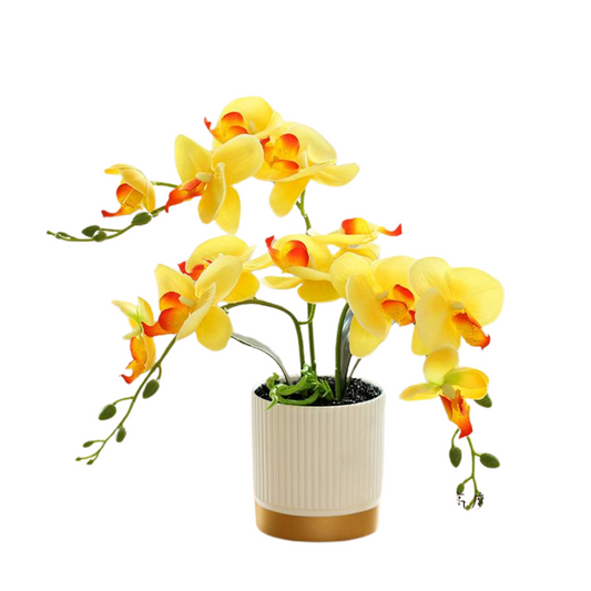 Orchid in Pot - Gold and White (33cm)