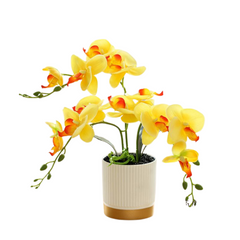 Orchid in Pot - Gold and White (33cm)