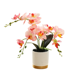 Orchid in Pot - Gold and White (33cm)