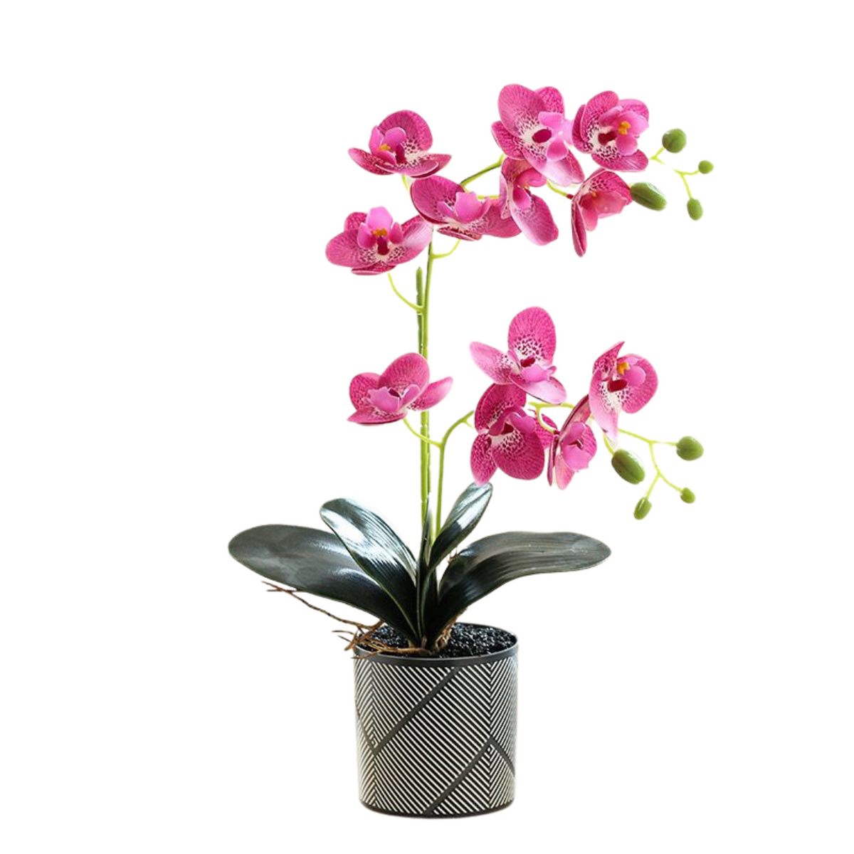 Orchid in Pot - Black and Grey Stripe (44cm)