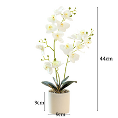 Orchid in Pot - White (44cm)