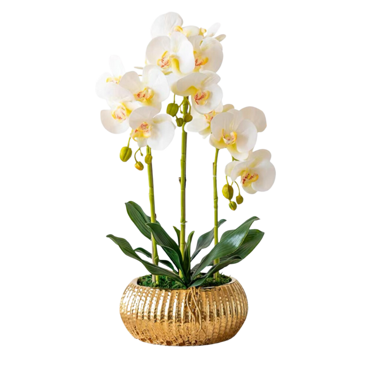 Orchid in Pot - Hammered Gold (60cm)