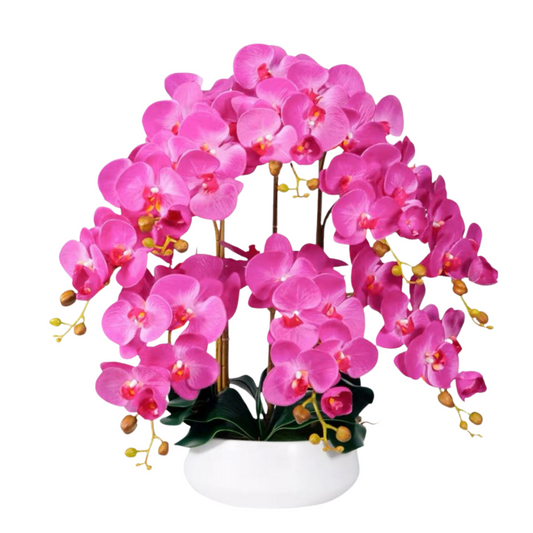 Orchid in Ceramic Pot - White (60cm)