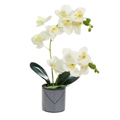 Orchid in Pot - Black and Grey Stripe (44cm)