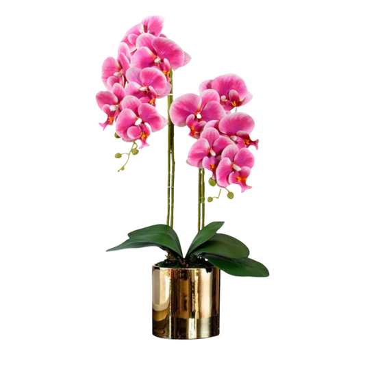 Orchid in Pot - Glossy Gold (60cm)