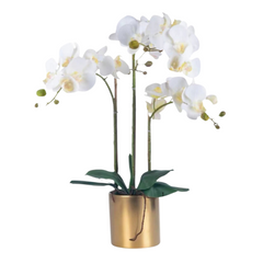 Orchid in Pot - Glossy Gold (68cm)