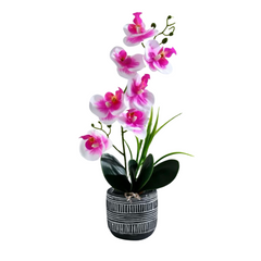 Orchid in Pot - Cement Stripes (41cm)