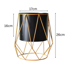 Gold Frame Planter Stand (Diamond)