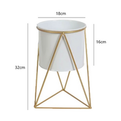 Gold Frame Planter Stand (Triangle)