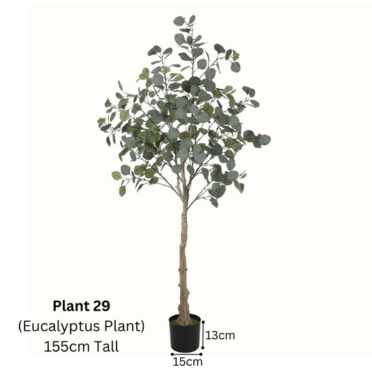 Artificial Eucalyptus Plant (120cm/155cm)