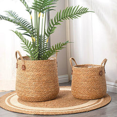 Woven Sea Grass Plant Basket