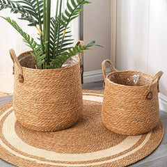 Woven Sea Grass Plant Basket