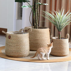 Woven Sea Grass Plant Basket