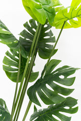 Artificial Monstera Tree 180cm Tall