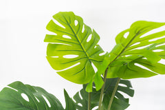 Artificial Monstera Tree 120cm Tall