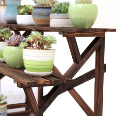 2-Tier Wooden Plant Rack