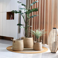 Woven Sea Grass Plant Basket