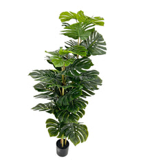 Artificial Monstera Plant 150cm Tall