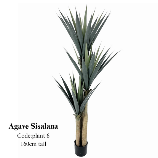 Artificial Agave Sisalana 160cm Tall